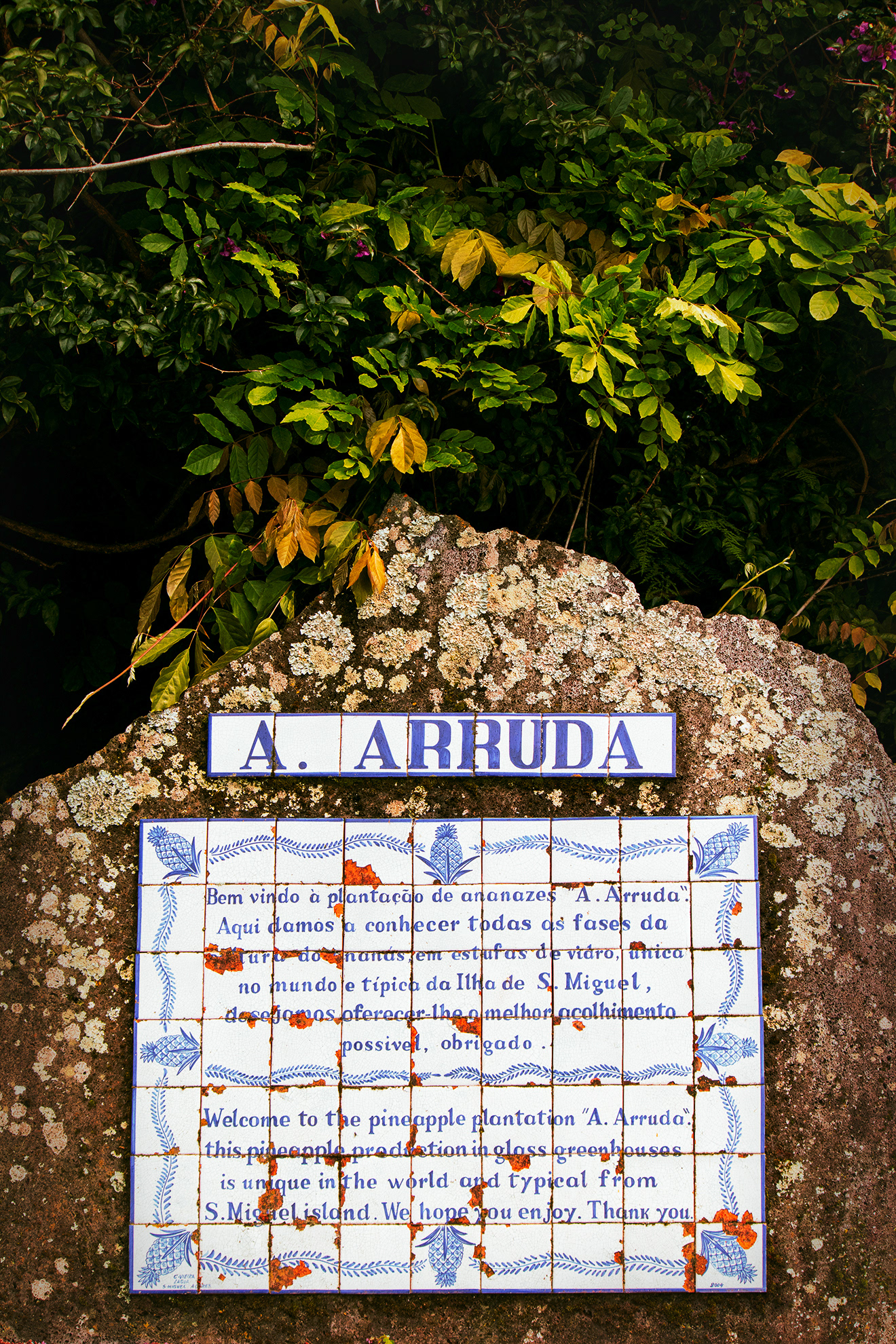 A.Arruda Pineapple farm