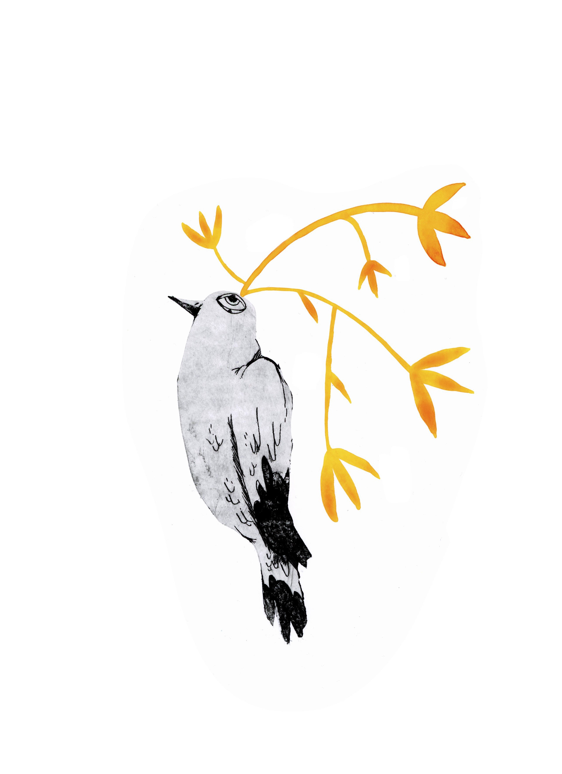 Grabado en tetrabrik con detalles en gouache