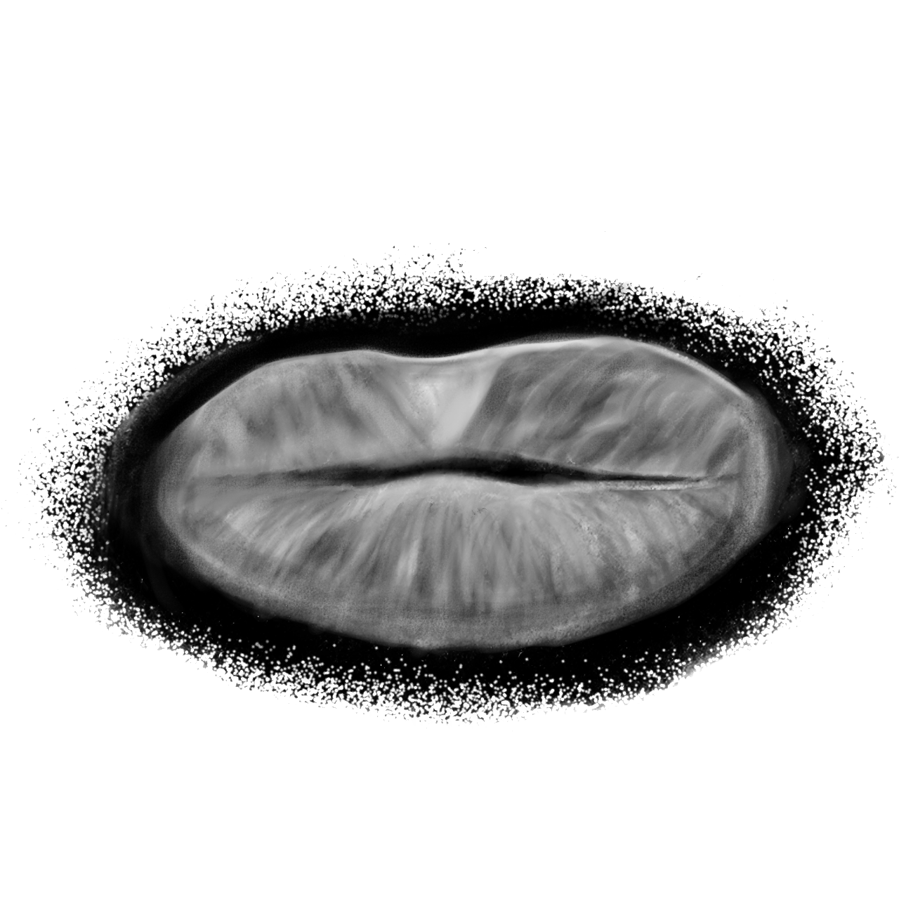 Realistic lips in black and gray