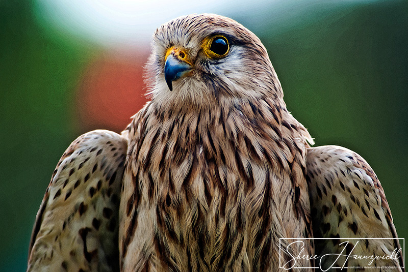 Preparing for Flight