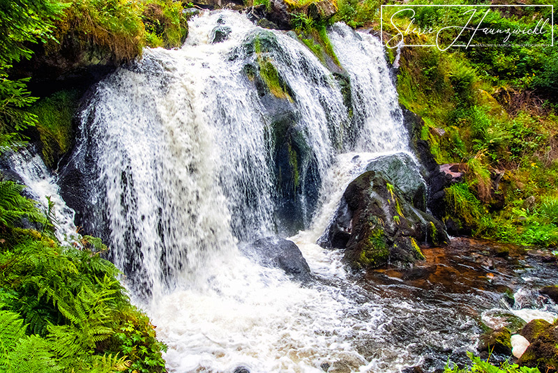 Triberg Waterfall 3