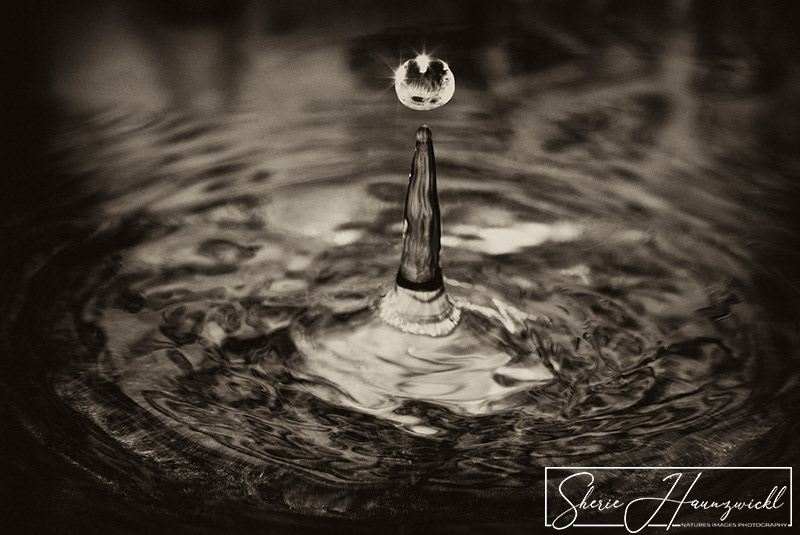 Water Drop