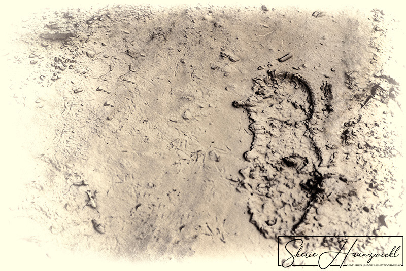 Footprints