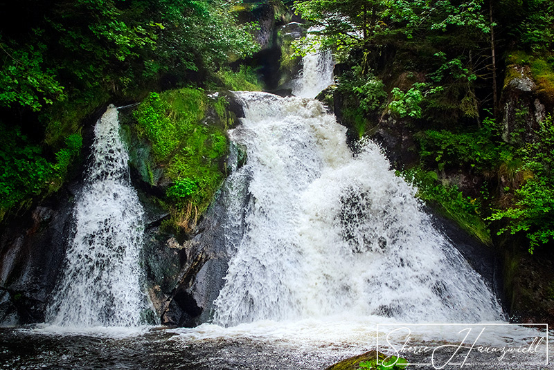 Triberg Waterfall 5