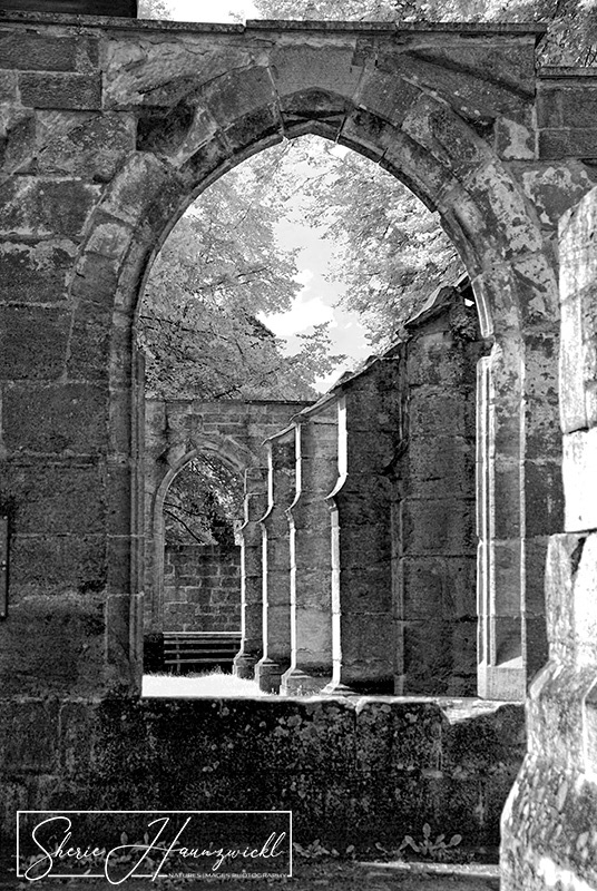 Through the Passage of Time