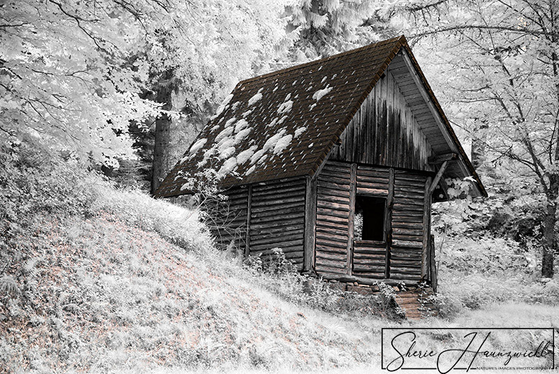 Protection in the Woods