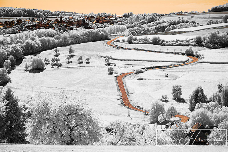 The Long and Winding Road