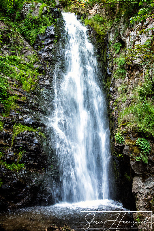 Todtnauer Waterfall 4