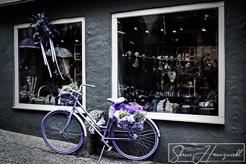 The Purple Bicycle