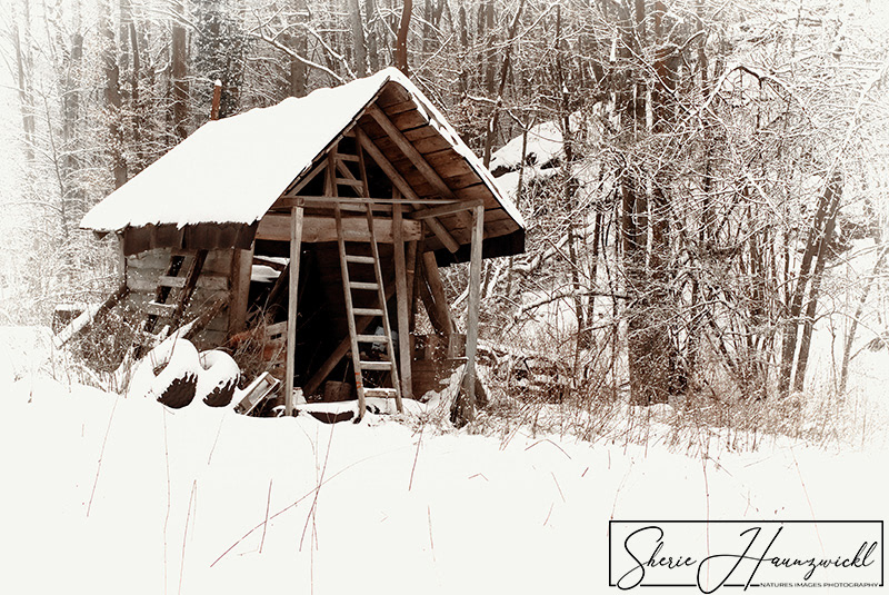 Shed in Winter