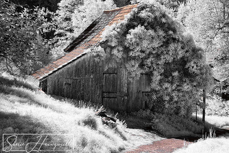Old Barn