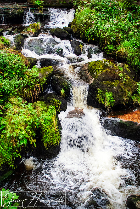 Triberg Waterfall 2