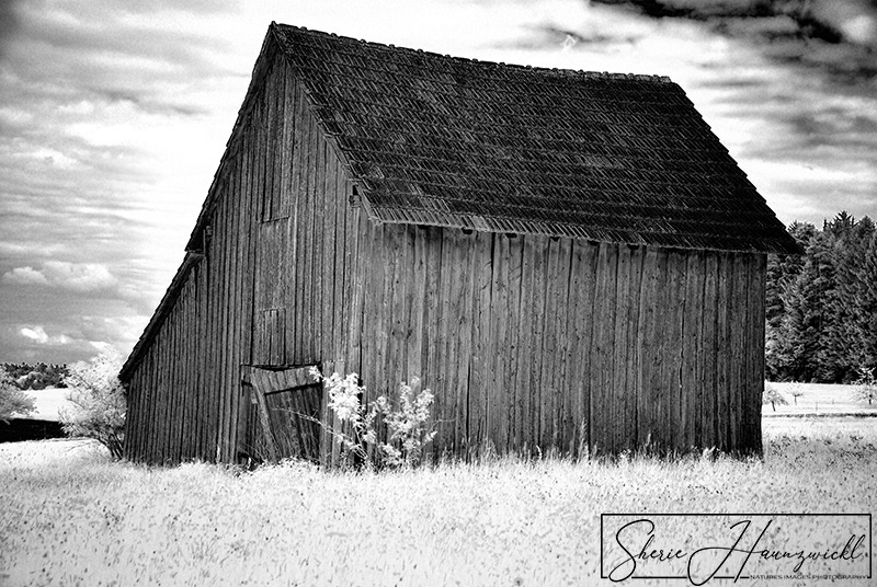 Shed in the Field