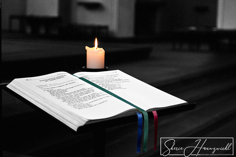 Let Me Light the Way