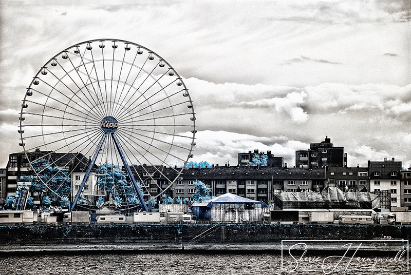 The Circus is in Town