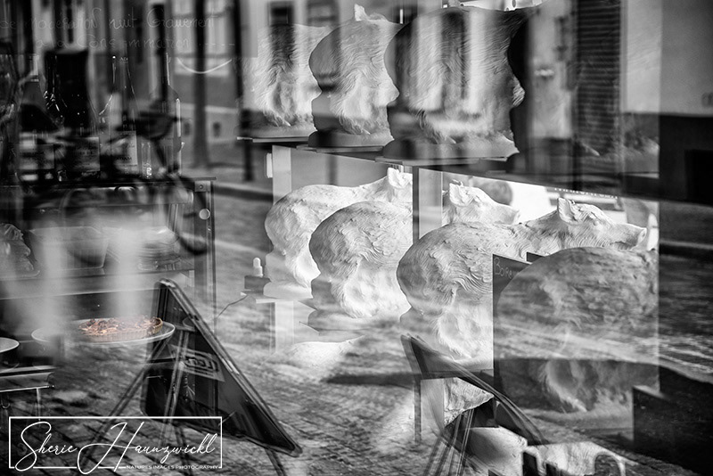 Reflections in the Wiindow of a Restaurant