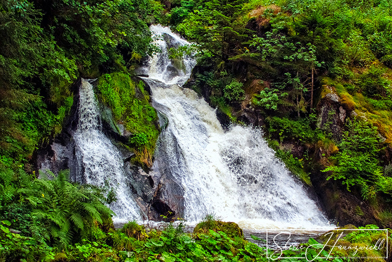 Triberg Waterfall 4