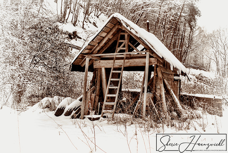 Shed in Winter 2