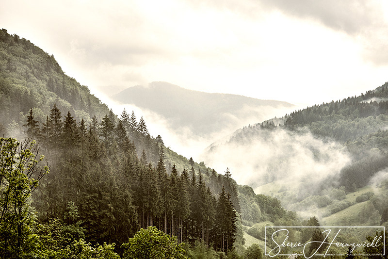 Mists of the Schwarzwald