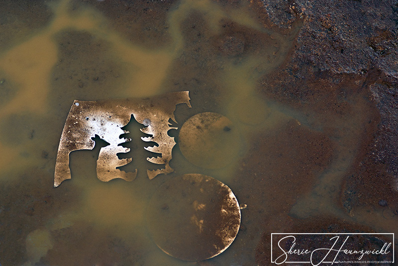 Leftovers of Christmas Past