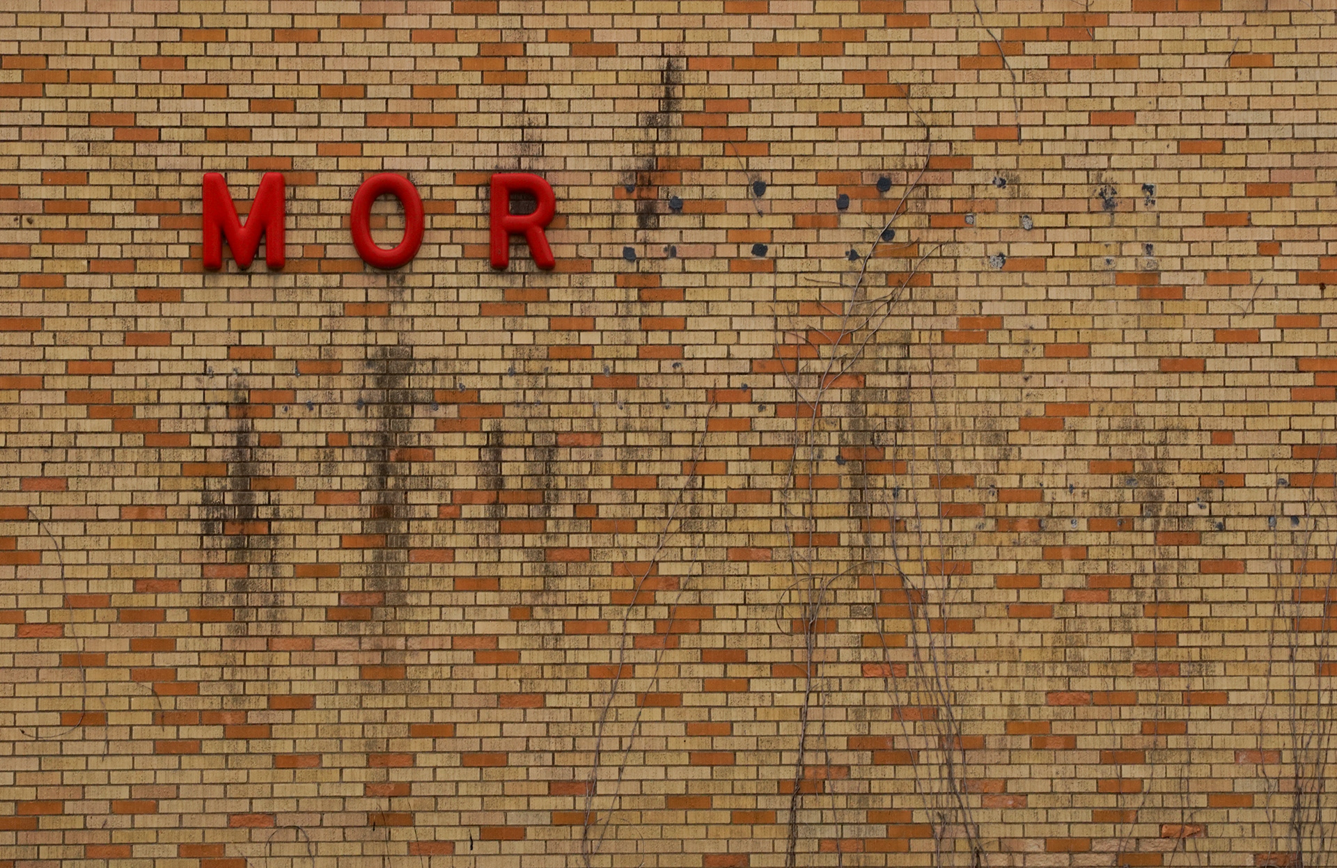The remnants of the sign of the old Morrison hardware store lay barren. The hardware used to be the center of town, acting as a convenience store to many in town. “If you forgot a birthday present for a kid in town, you’d run there” said Jeanie Birk, a local. The building is now being used by Matthew Kohrs, who depending on you who ask, is a carpenter or works on computers.