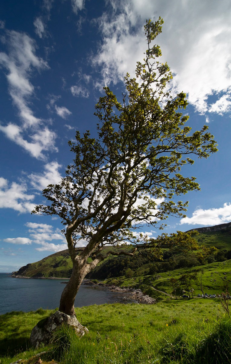 Murlough Bay, Ballycastle