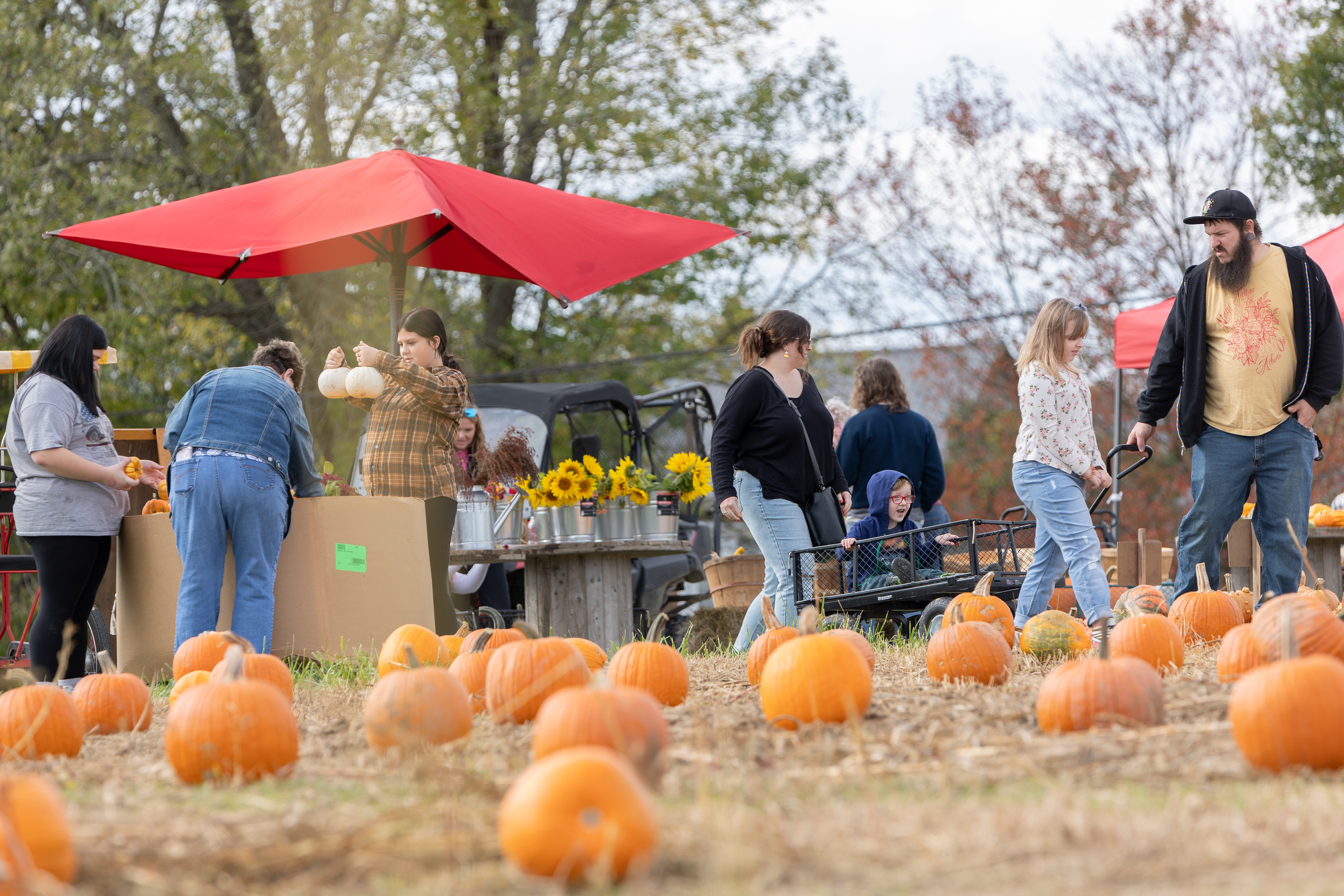 Friends and families from all over Ohio and the world gather to pick pumpkins for carving and decorating at Libby's Pumpkin Patch in Albany, Ohio, Oct. 21, 2023. The pumpkin patch has been open since 2011 and has continued to expand ever since. Libby's offers more than just pumpkins; they also have a corn maze, tractor rides, and hay bales for the children to play on.