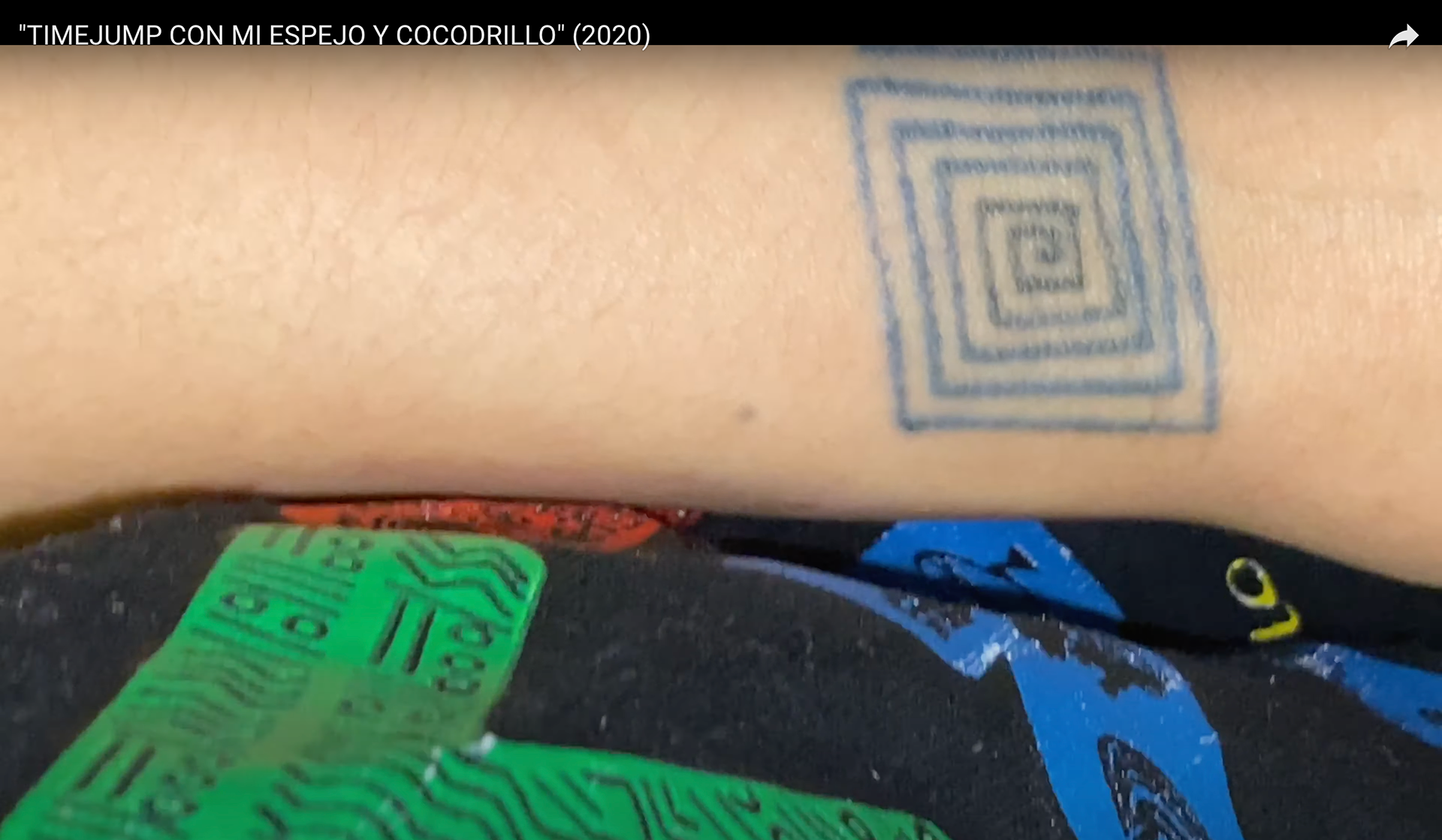 "TIMEJUMP CON MI ESPEJO Y COCODRILLO" (2020) Mi casa, Mi cuerpo, Mi energia, Mis MILALMAS, Glitch/Divine intervention (edited footage). TIMEJUMP. MIRROR MADE BY ROB ROBASSA.
