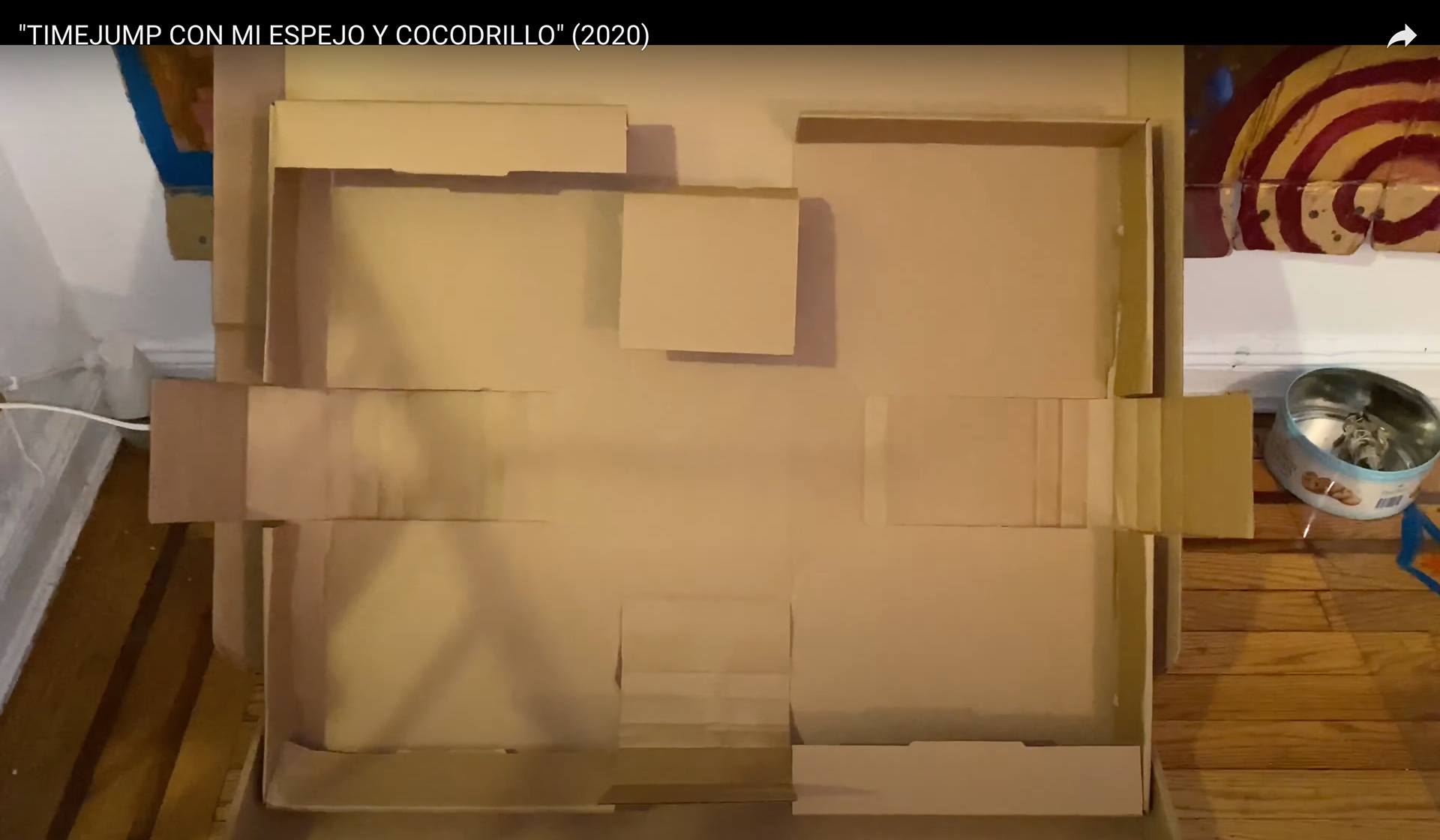 "TIMEJUMP CON MI ESPEJO Y COCODRILLO" (2020) Mi casa, Mi cuerpo, Mi energia, Mis MILALMAS, Glitch/Divine intervention (edited footage). TIMEJUMP. MIRROR MADE BY ROB ROBASSA.