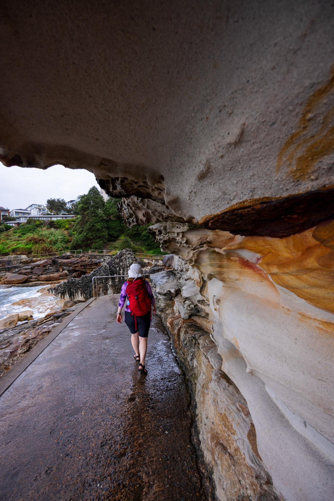 Sandstone walk south of Bondi Beach
