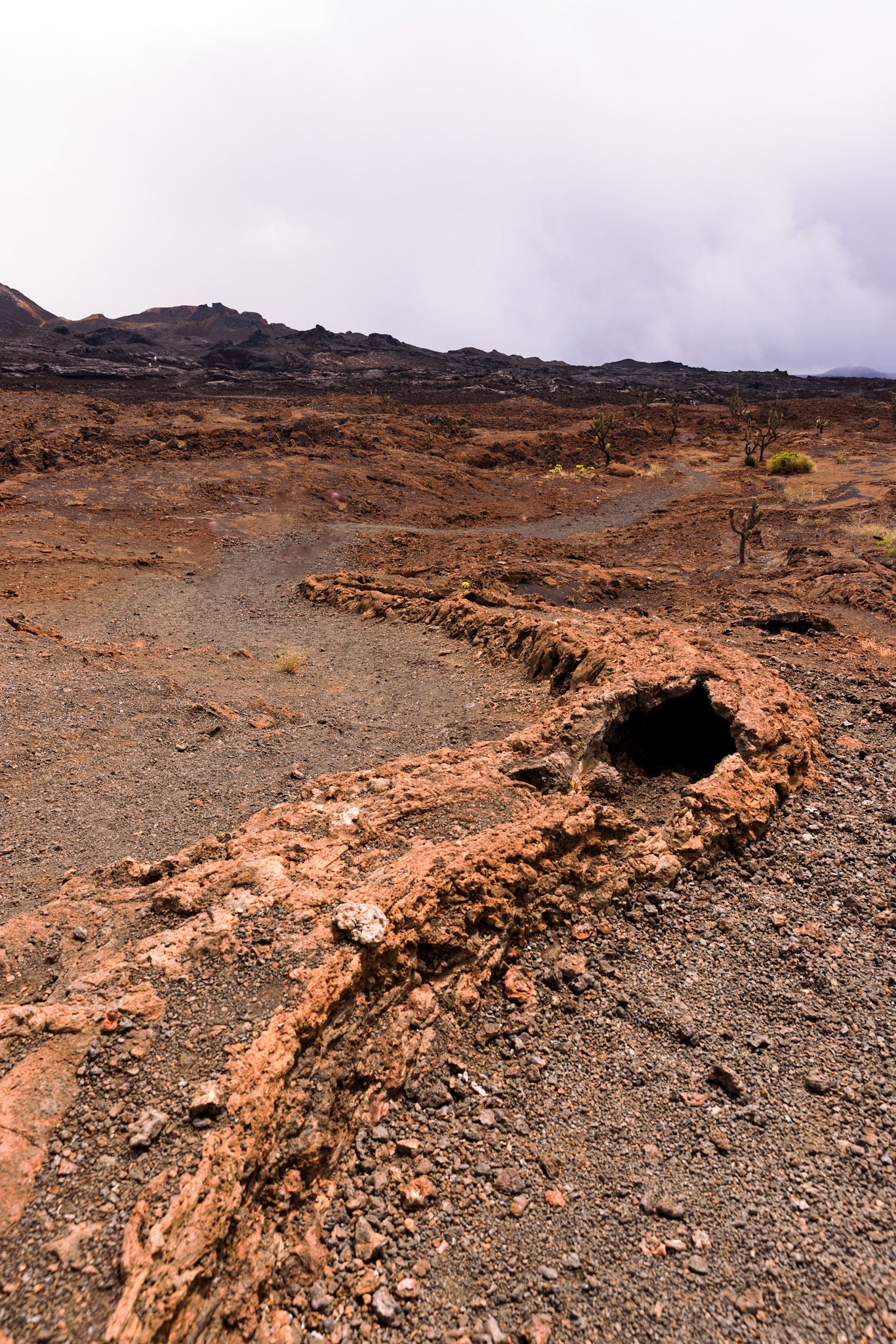 Lava tunnel