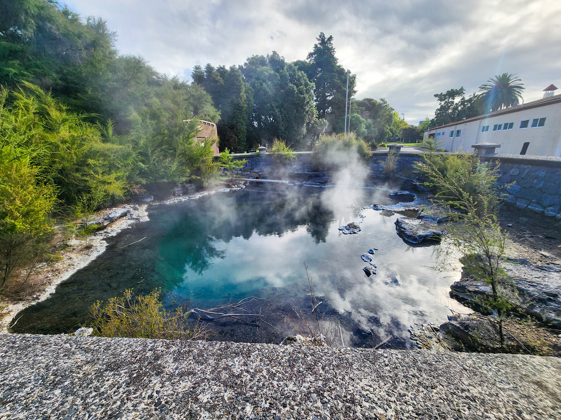 Hot springs in Rotorua