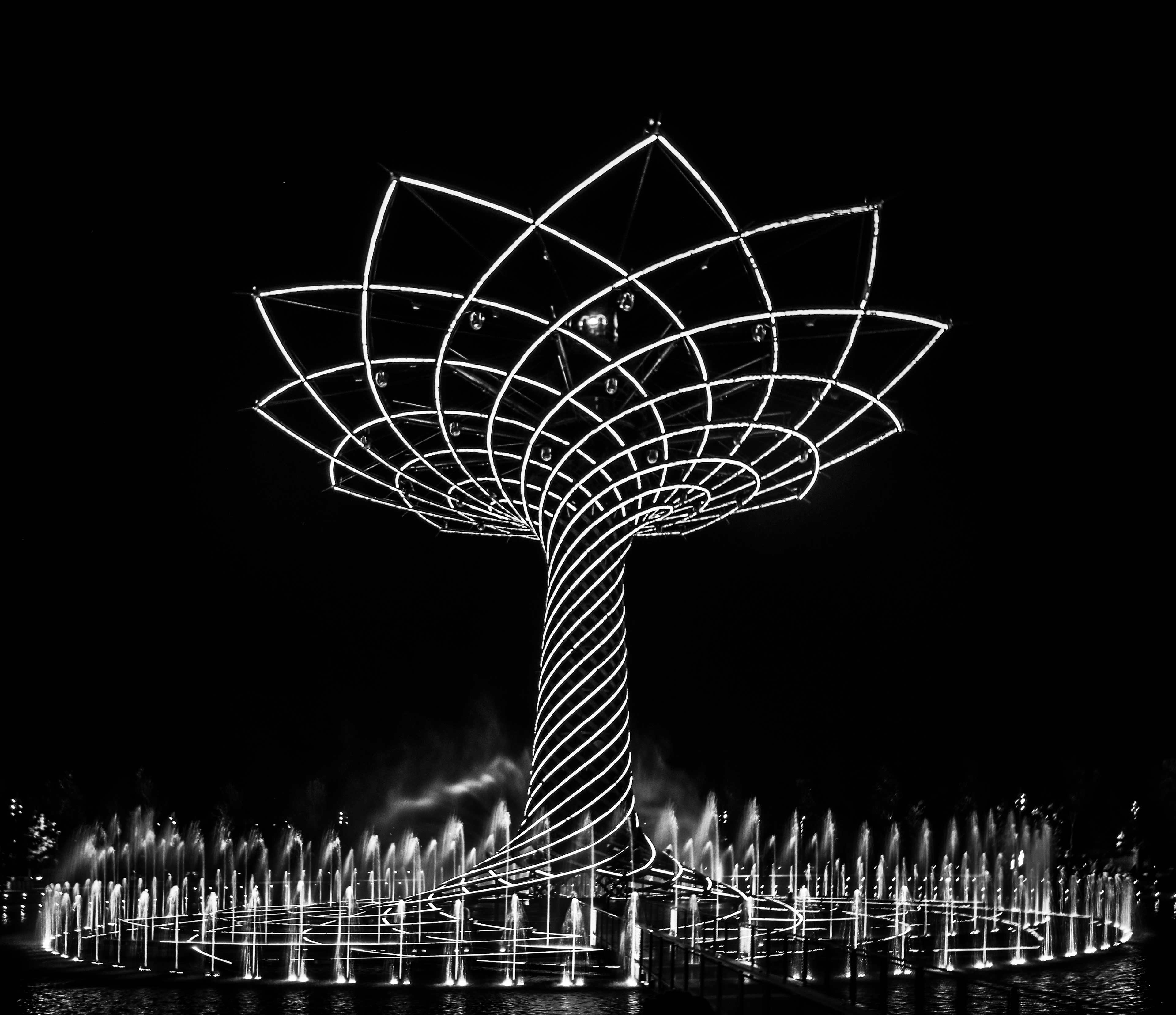 Electric blossom