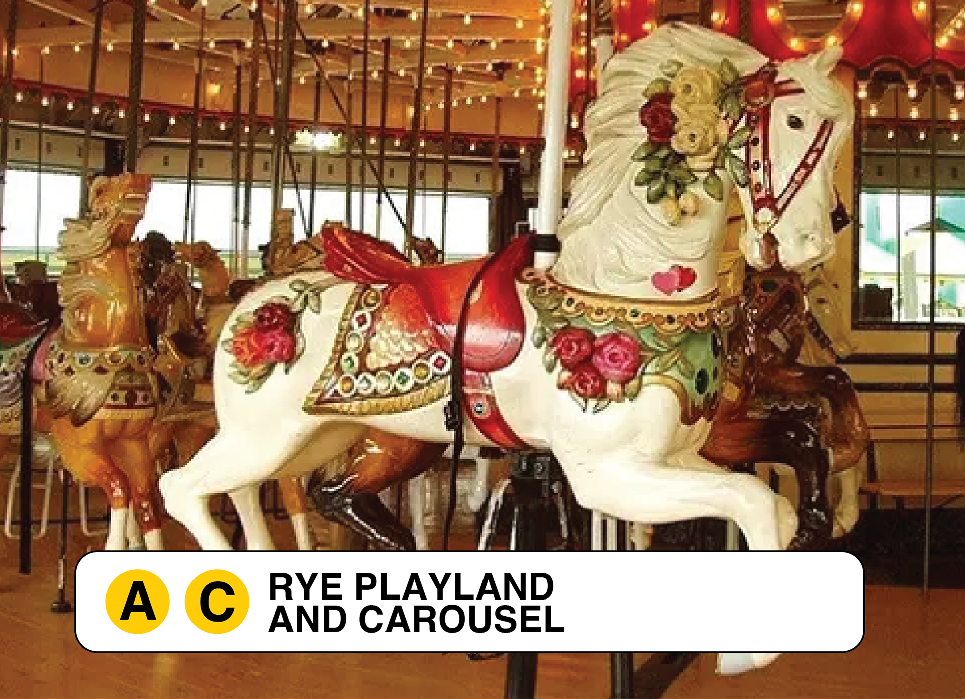 Postcard sized travel book all about carousels