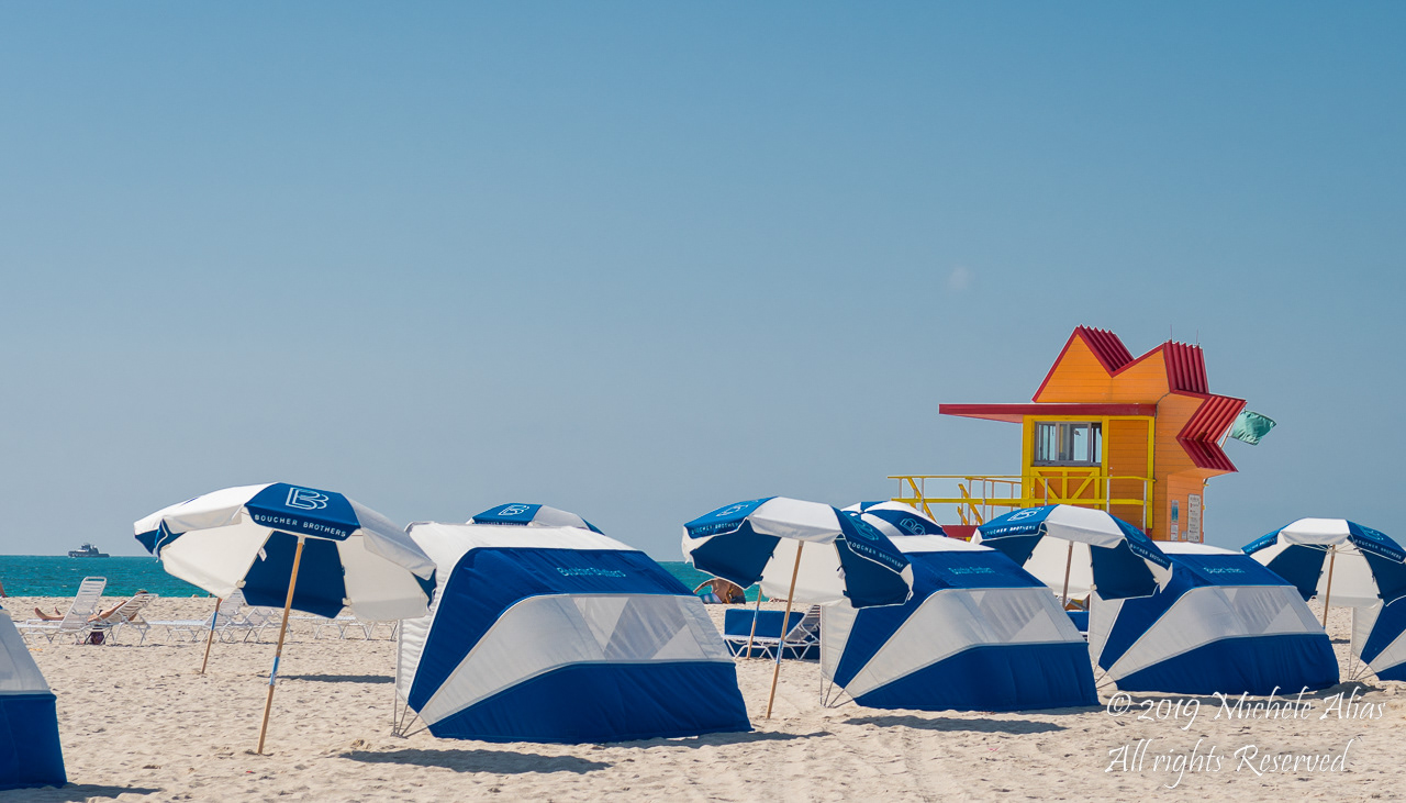 Rooster at the Beach