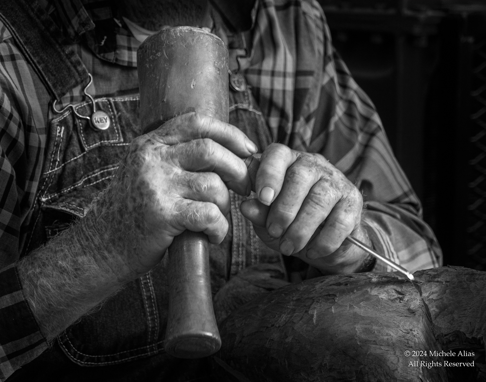 The Woodcarver