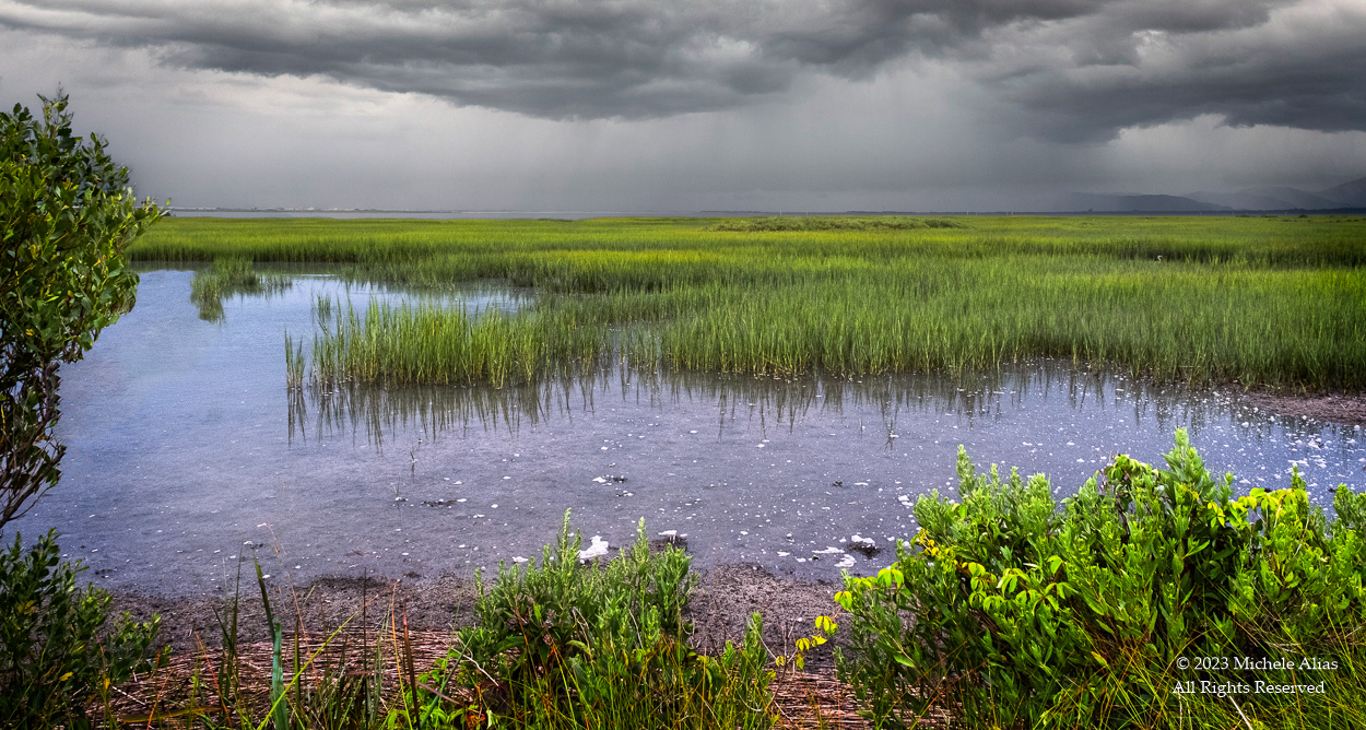 Weather over the Marsh