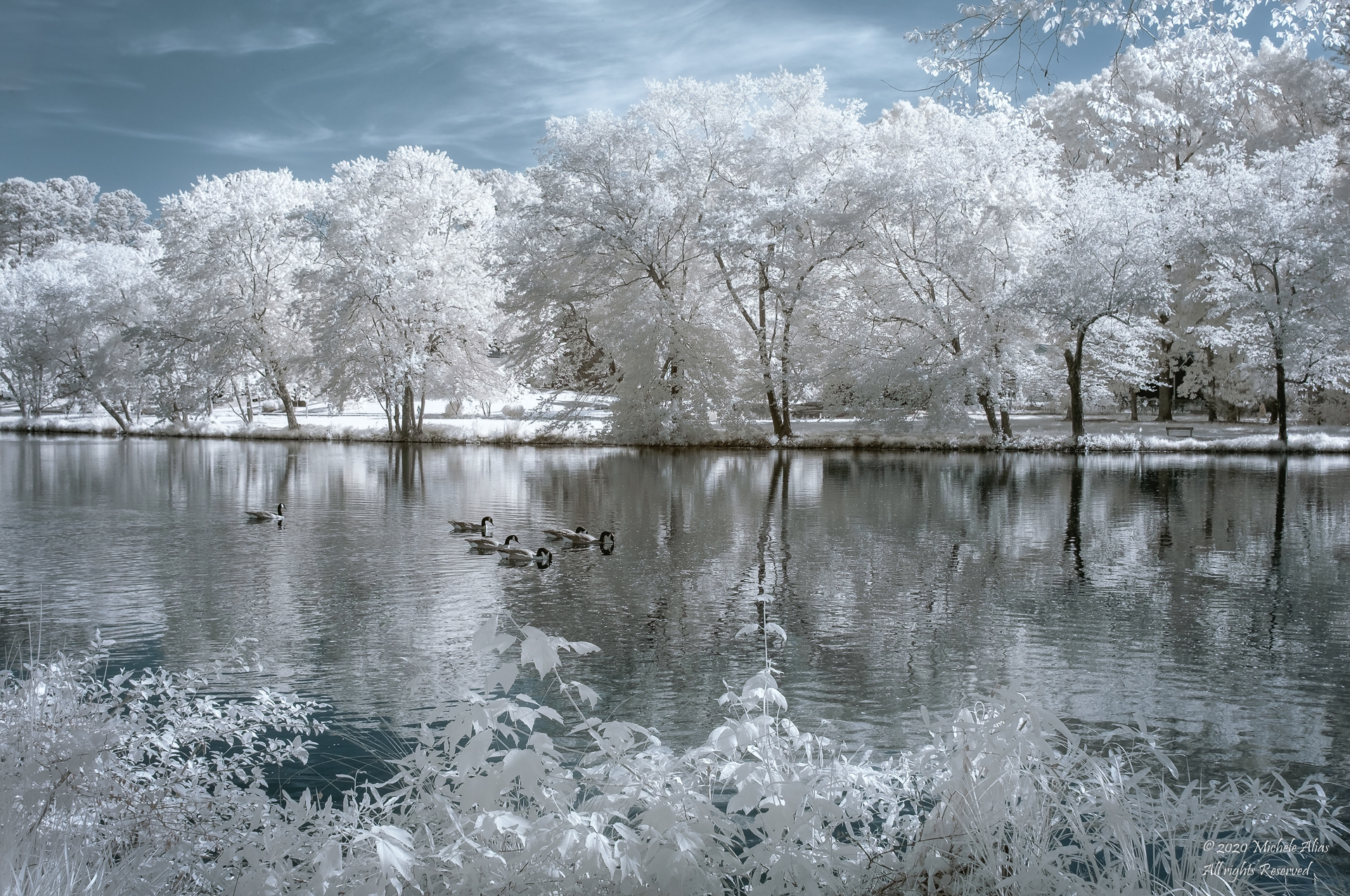 winter in Summer