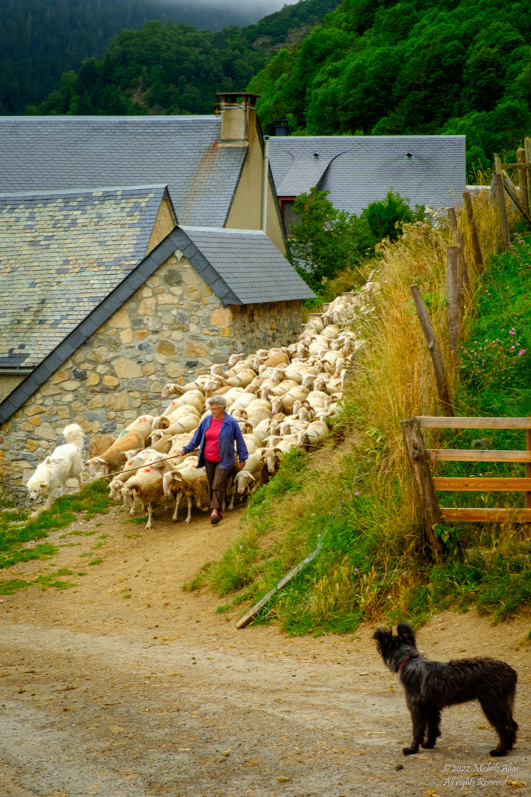 Long Expected Return