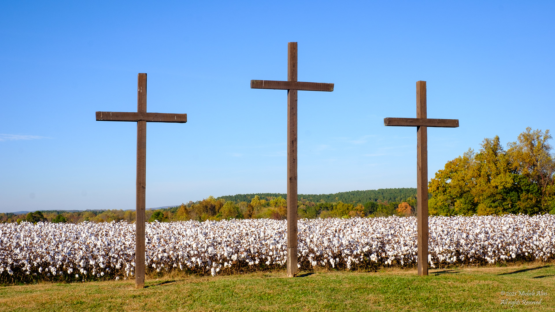 Snow like Wave of Cotton