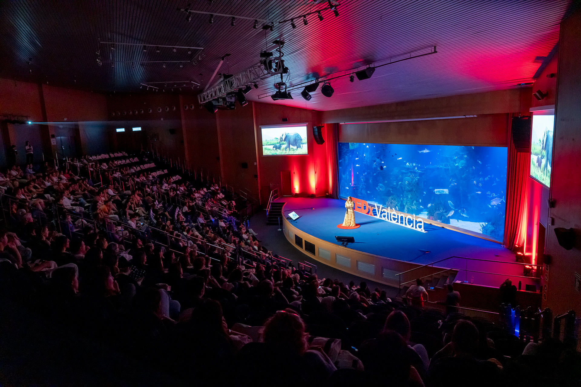 TEDxValencia 2024: INFLUENCIA (Fotografías por Bulbo Media).