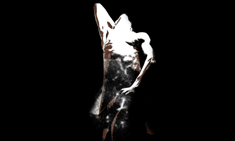 Pas de flash s’il vous plait !, 2013