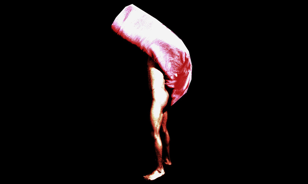 Pas de flash s’il vous plait !, 2013