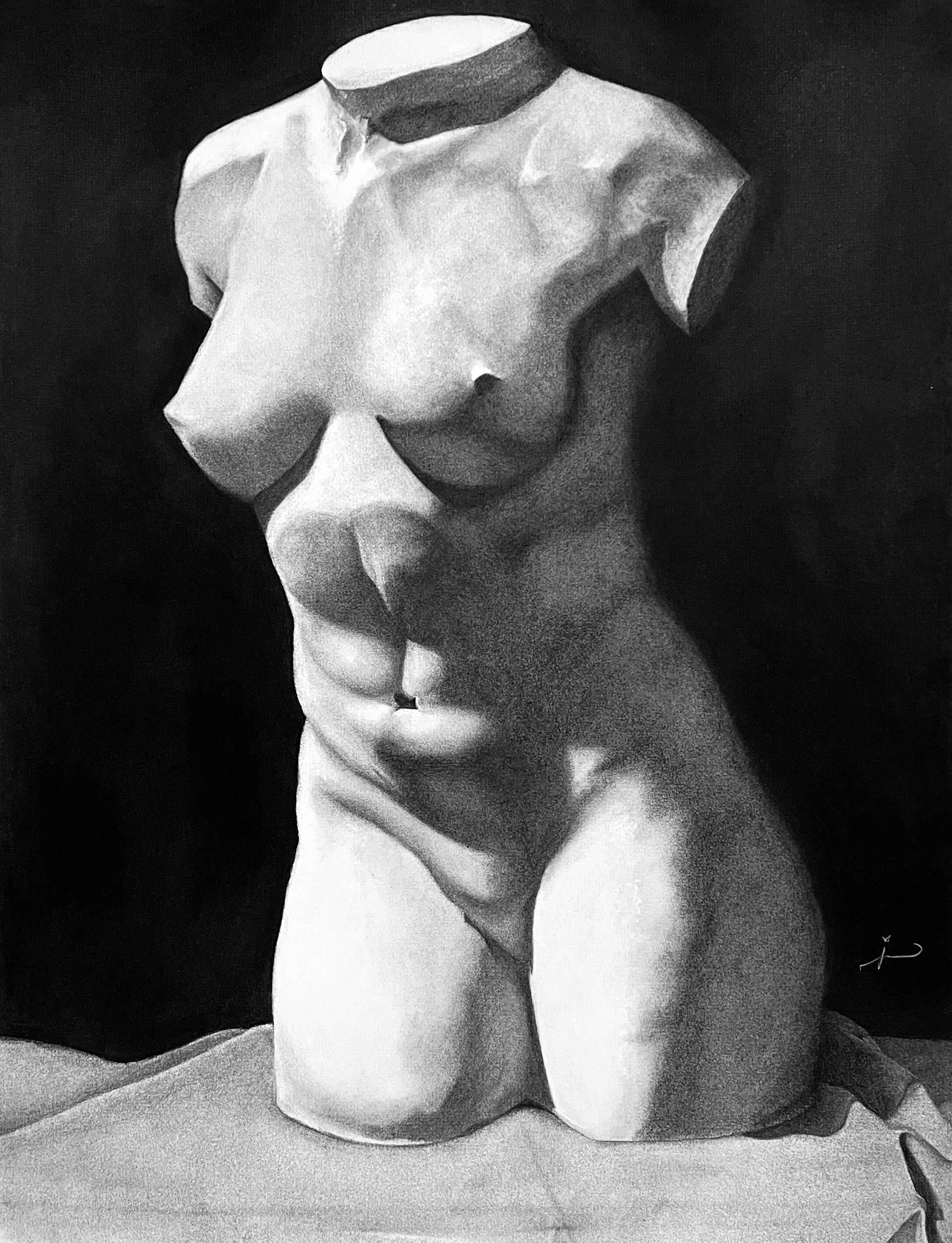 Charcoal - Torso - Analysis of Form - Spring 2023