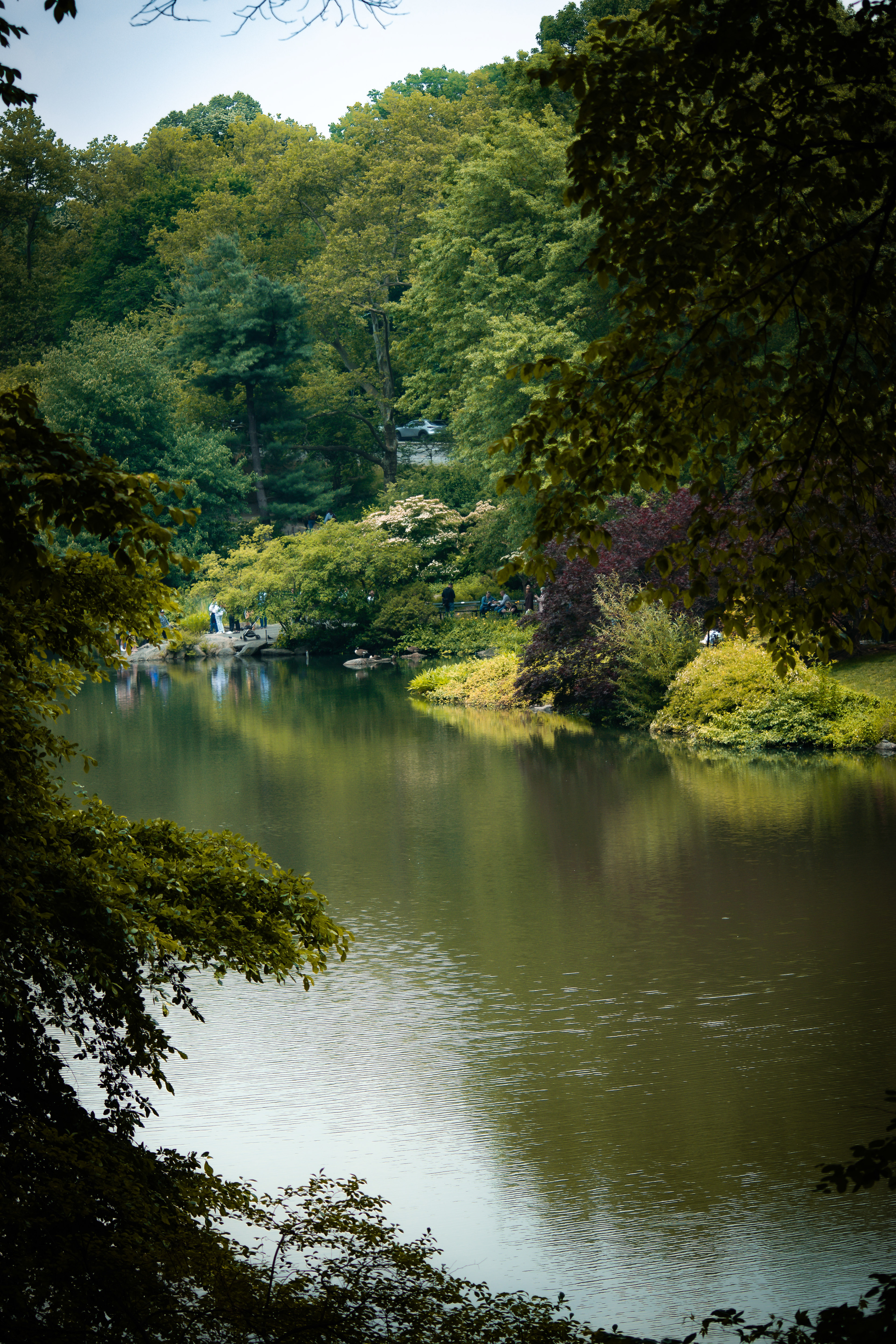 Central Park