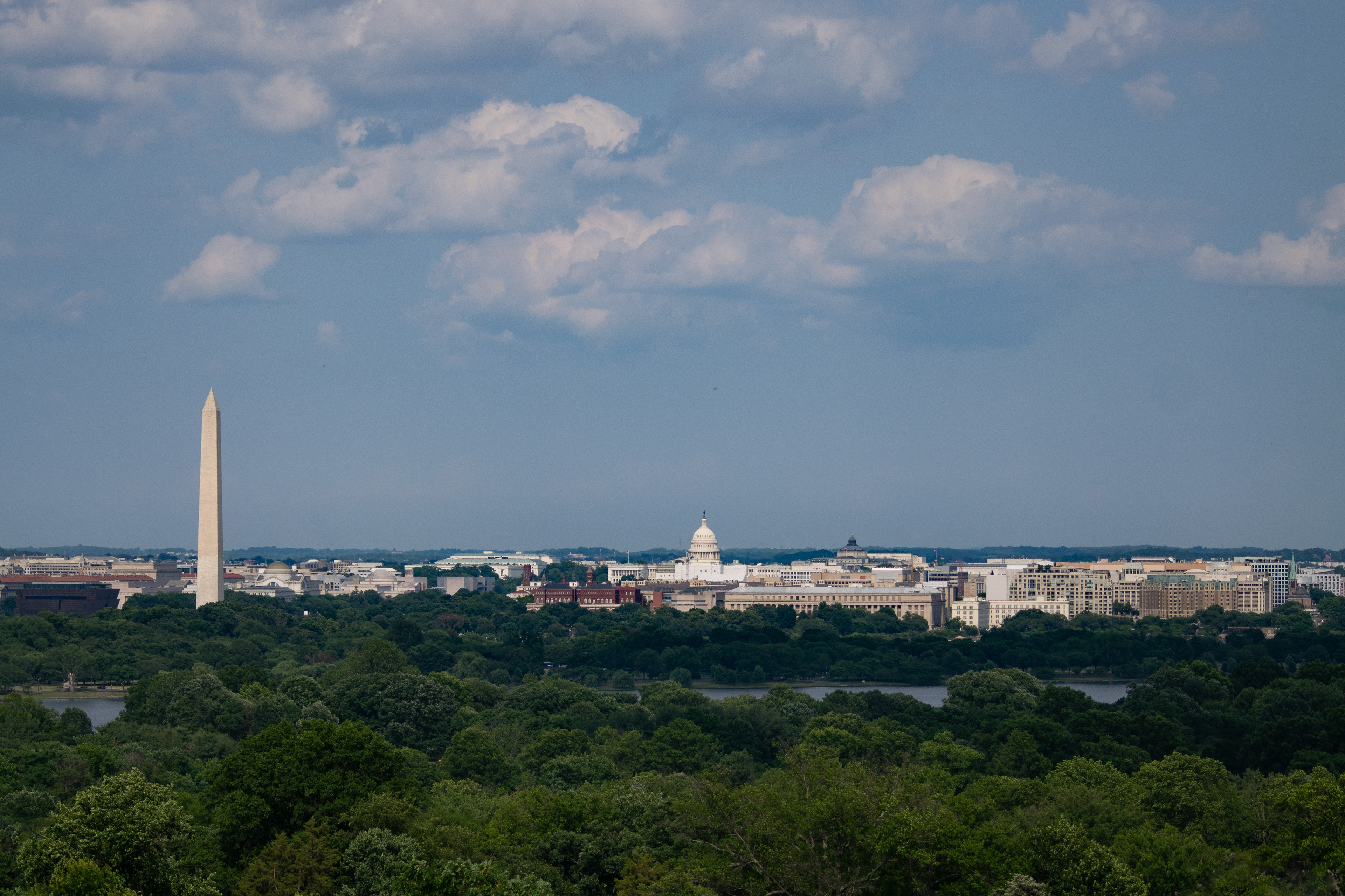 Washington Landscape
