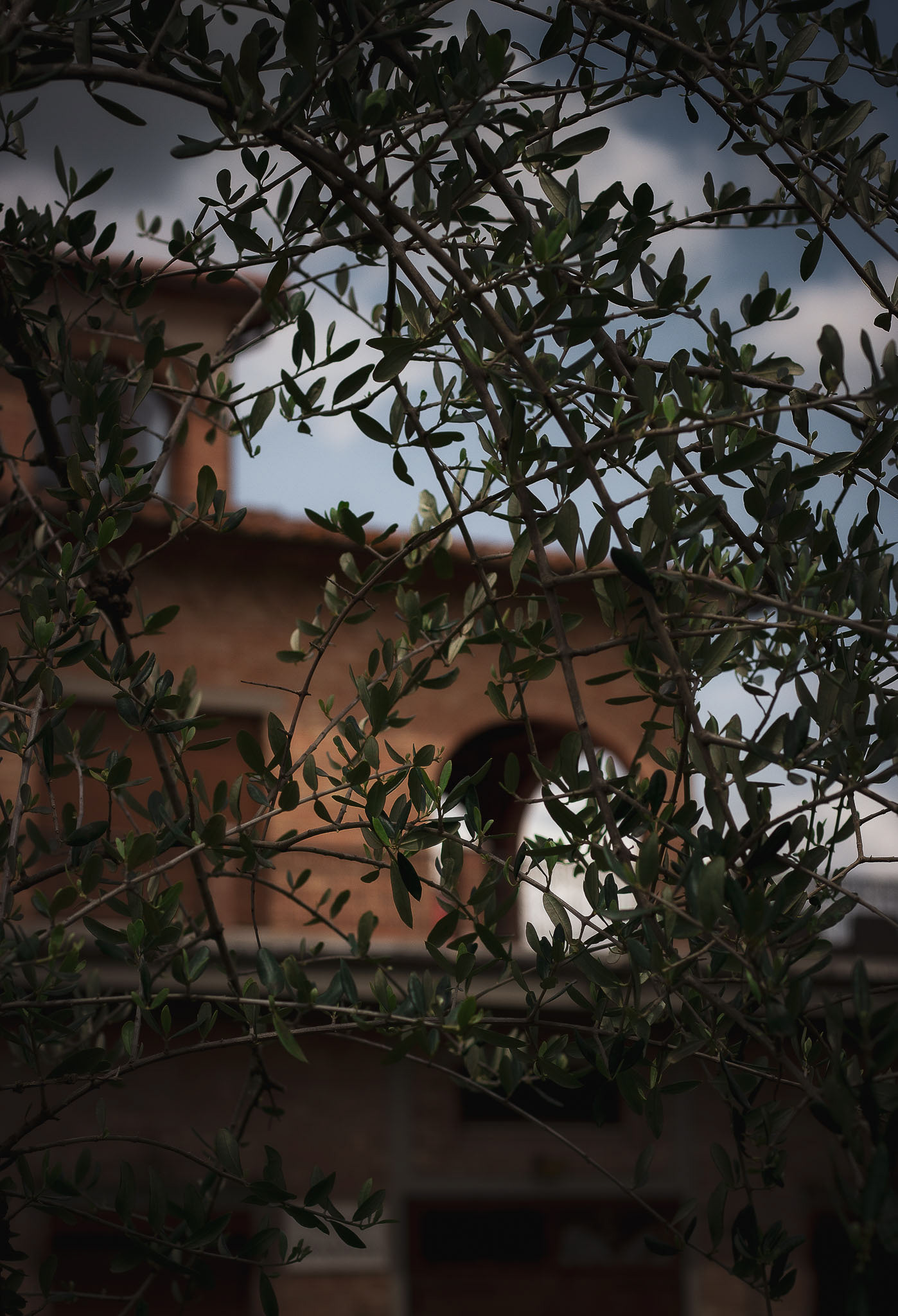 Tenuta Villa Trasqua Winery