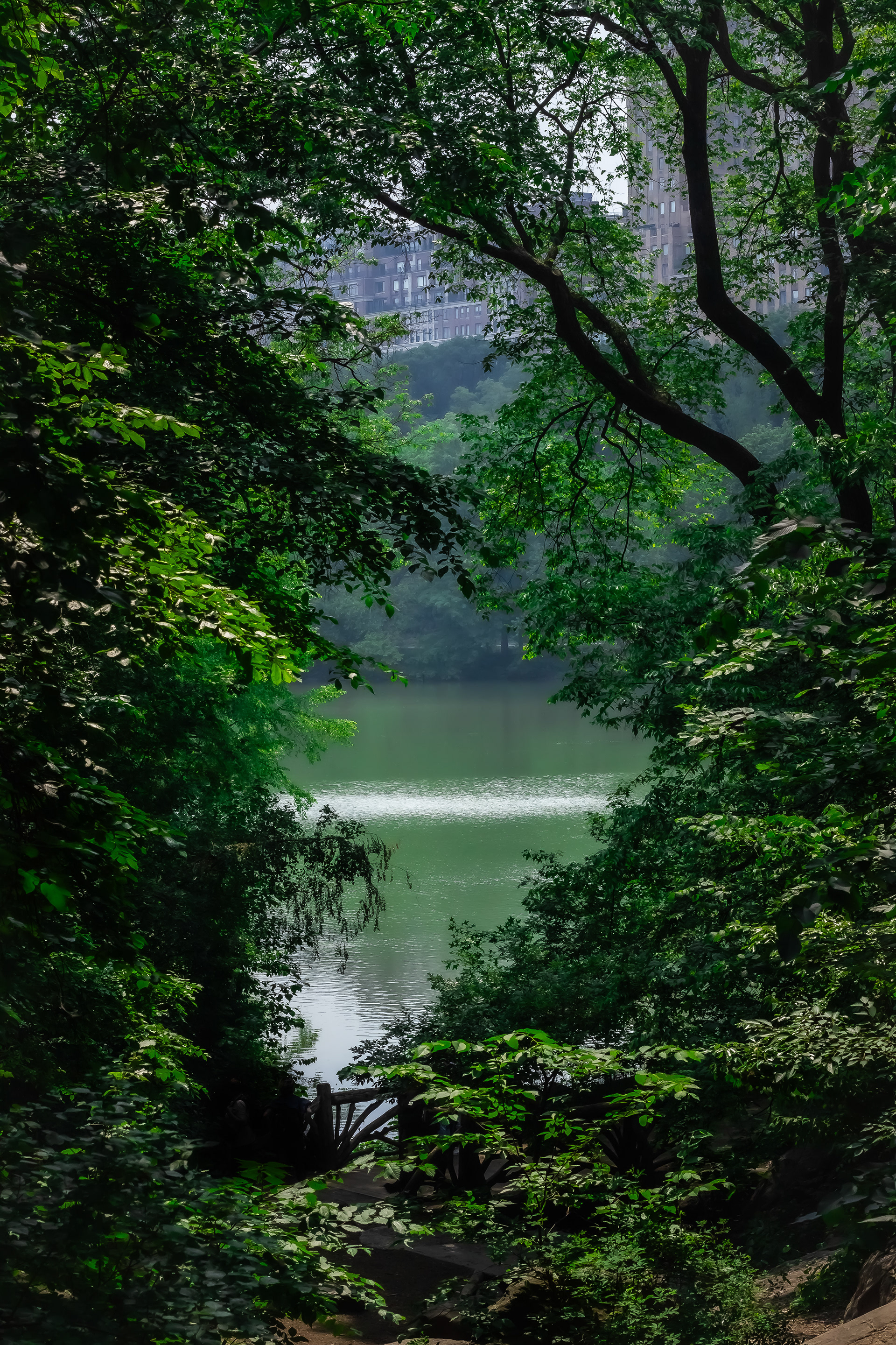 Central Park