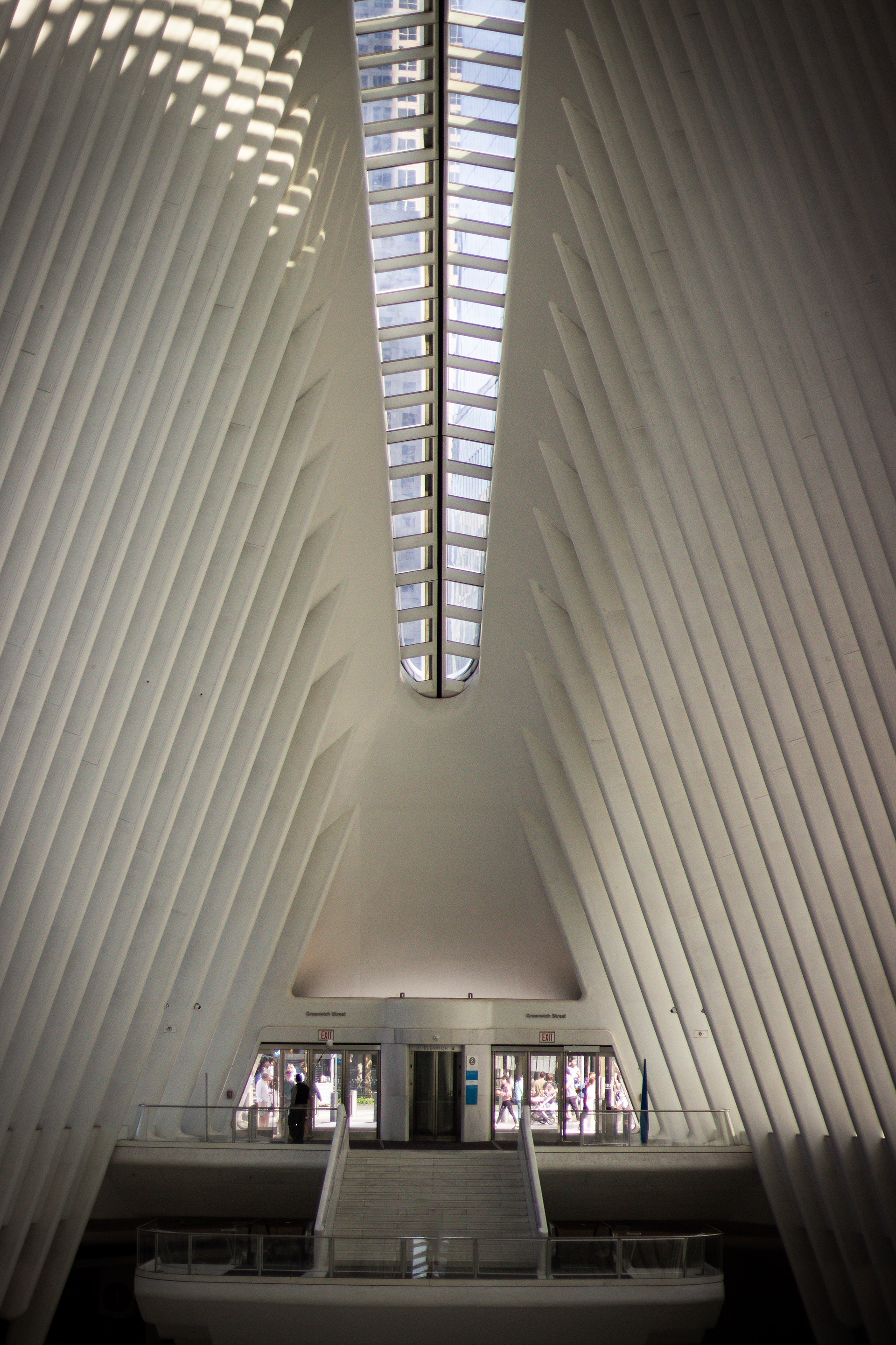 The Oculus