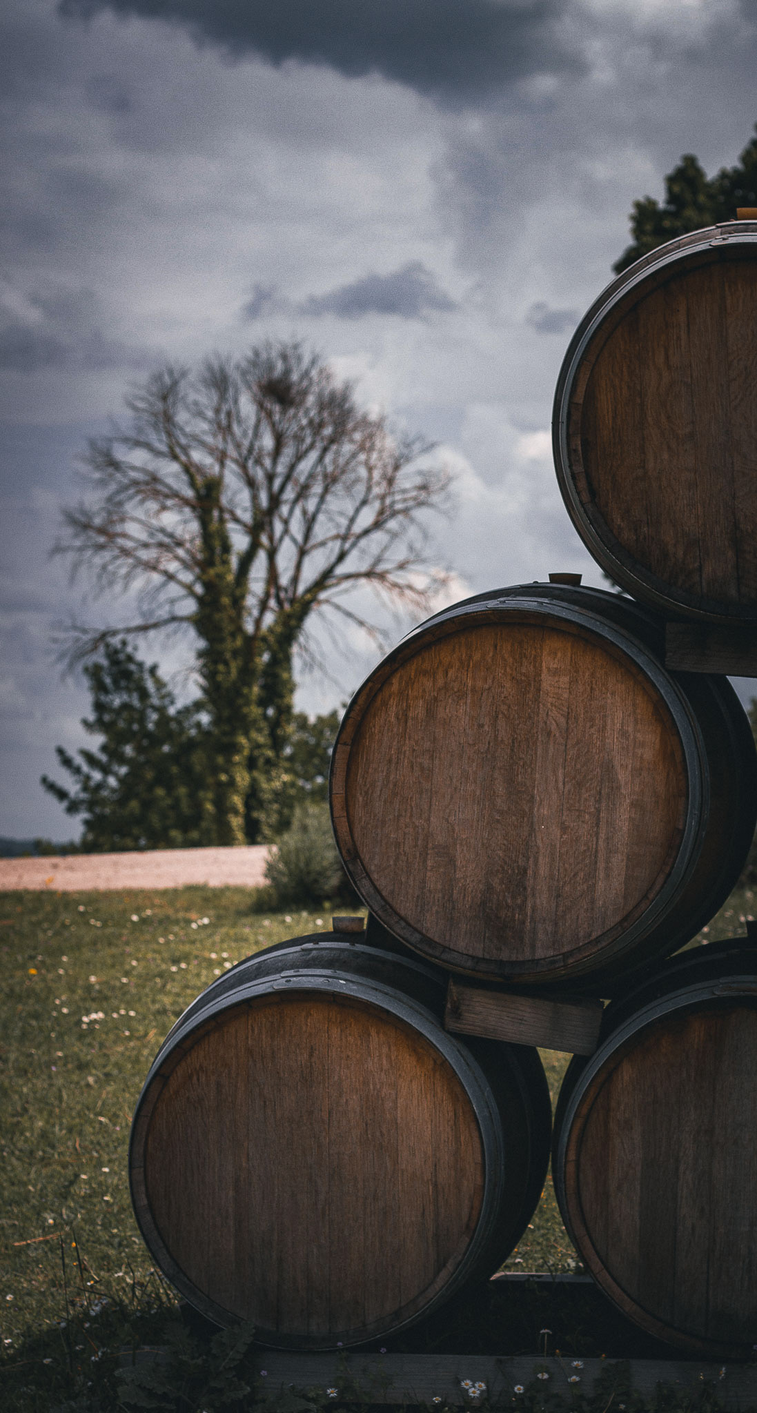 Tenuta Villa Trasqua Winery